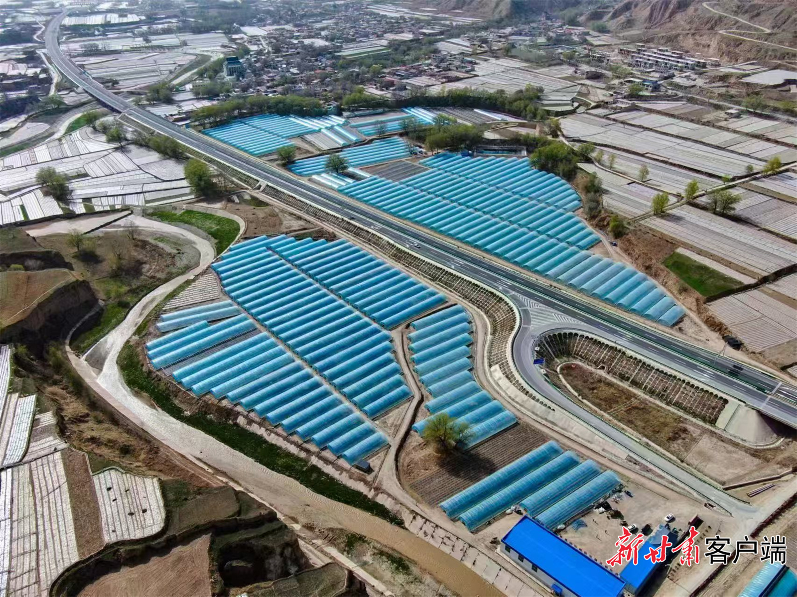 【强信心 看发展·招商引资拼落地】“政府的支持是我们做好企业的最大动力”——东乡县五家乡设施农业高原夏菜示范基地生产见闻