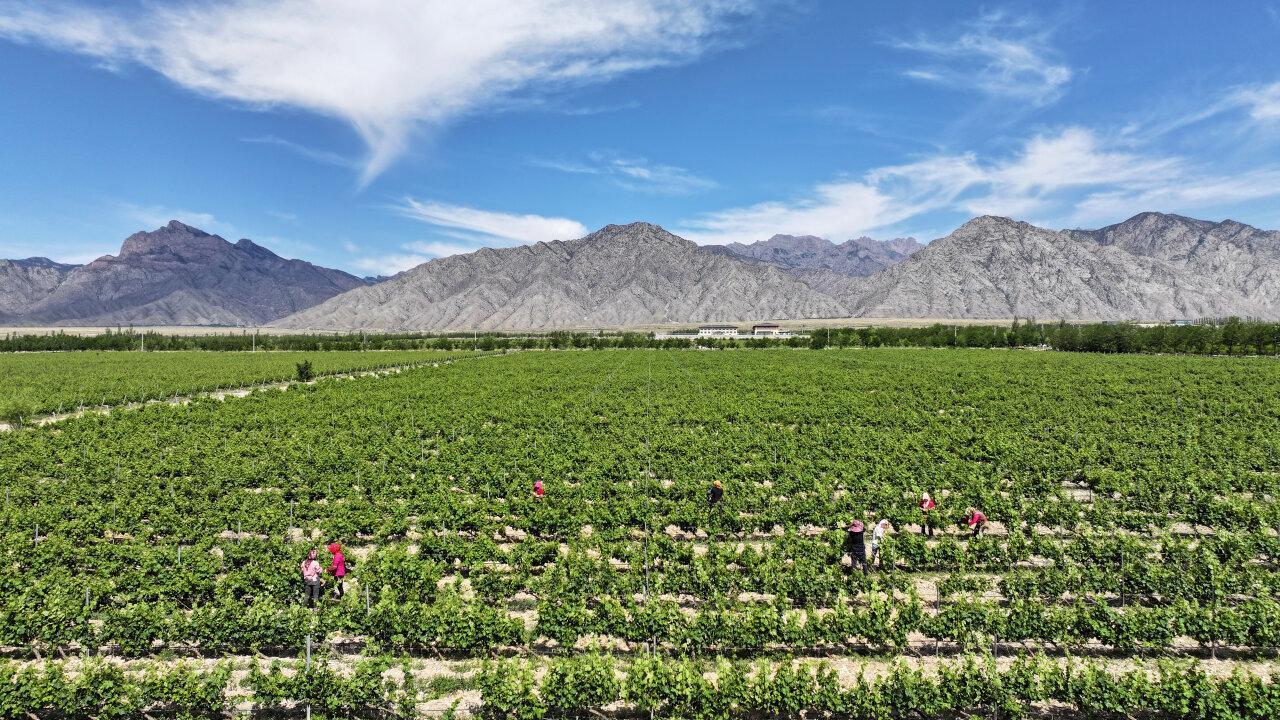 政见 | 宁夏：身在内陆，心向大海