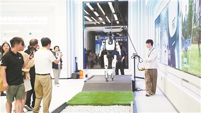 在北京,机器人“闯”出大世界