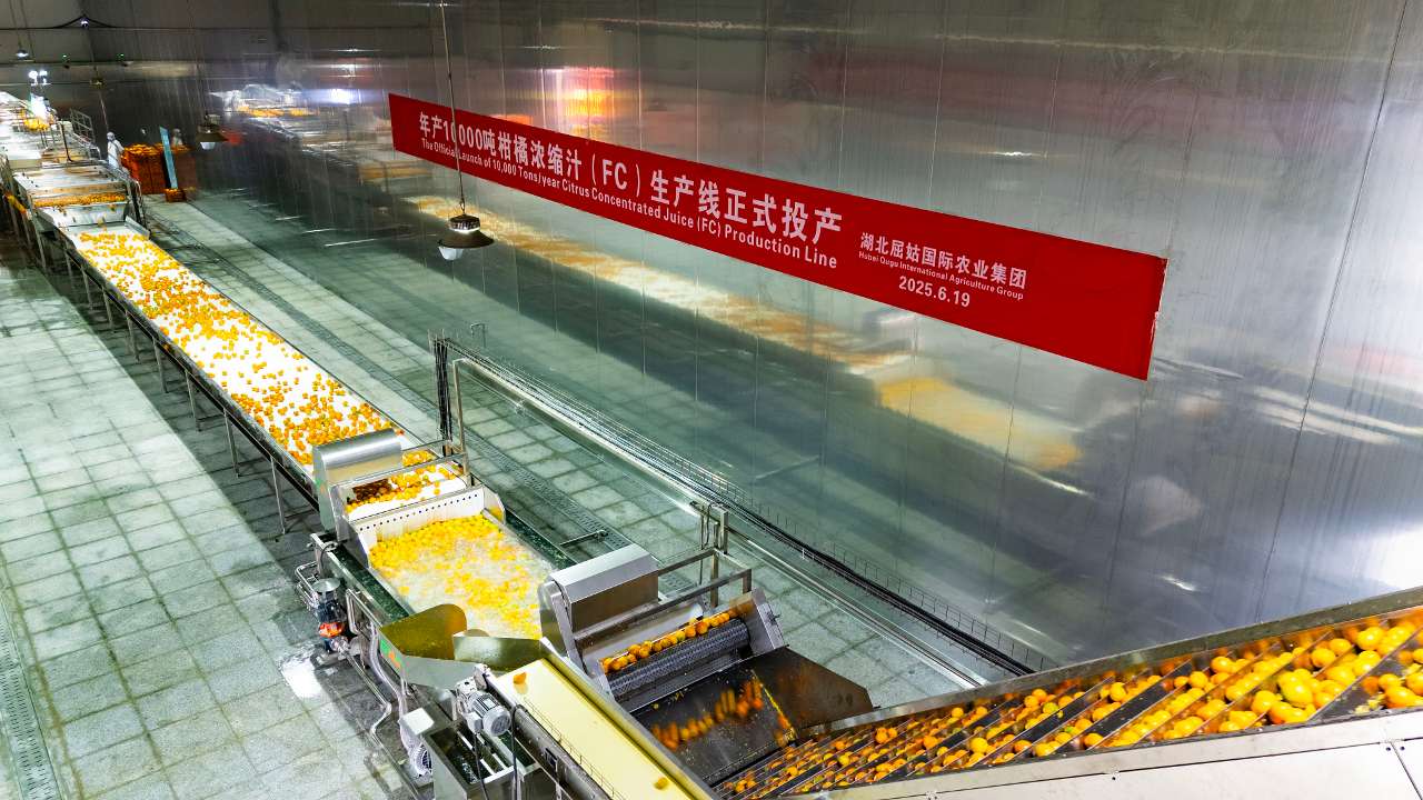 湖北秭归首条年产万吨级浓缩橙汁生产线建成投产