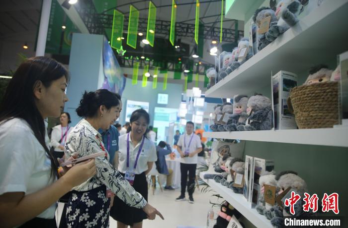 南博会首设旅居云南馆 解码“有一种叫云南的生活”