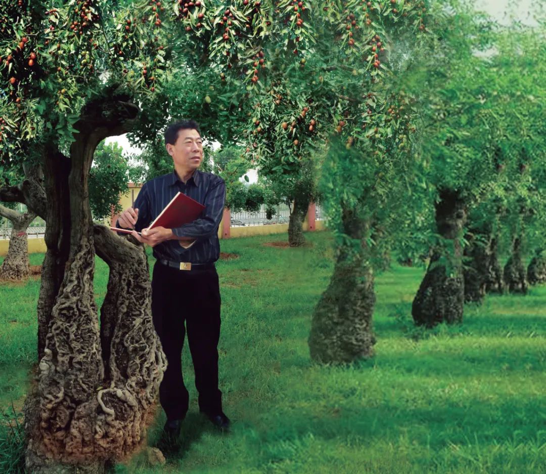 艺境人生 | 松风墨骨赤子情——写在陈国创先生从艺50年之际