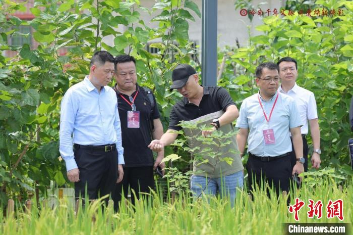 首届粤港澳大湾区传统武术学术交流会在肇庆举办