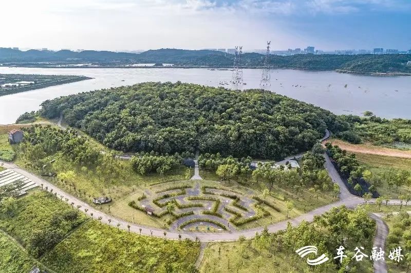 中国车谷再发现