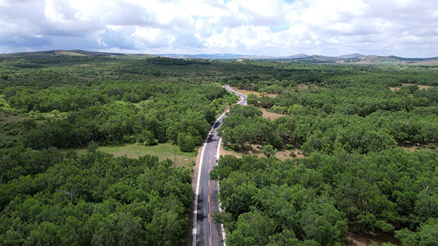 北疆行丨锡林郭勒草原:通向嘎查公路之变引发的深刻变化…… 西乌旗境内的99号公路。锡林郭勒盟委宣传部供图