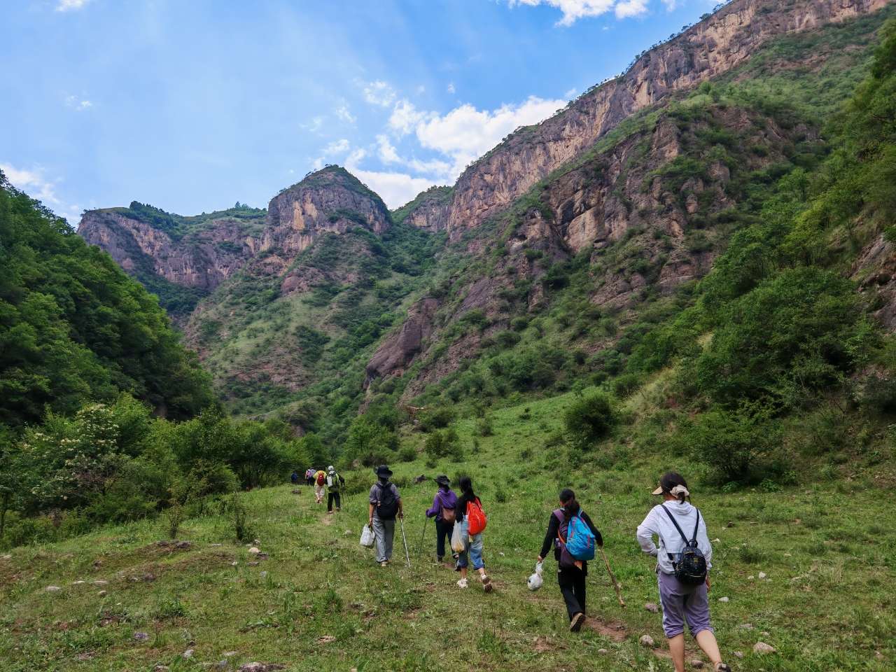 宁夏泾源：夏日文旅释放“避暑胜地”生态魅力