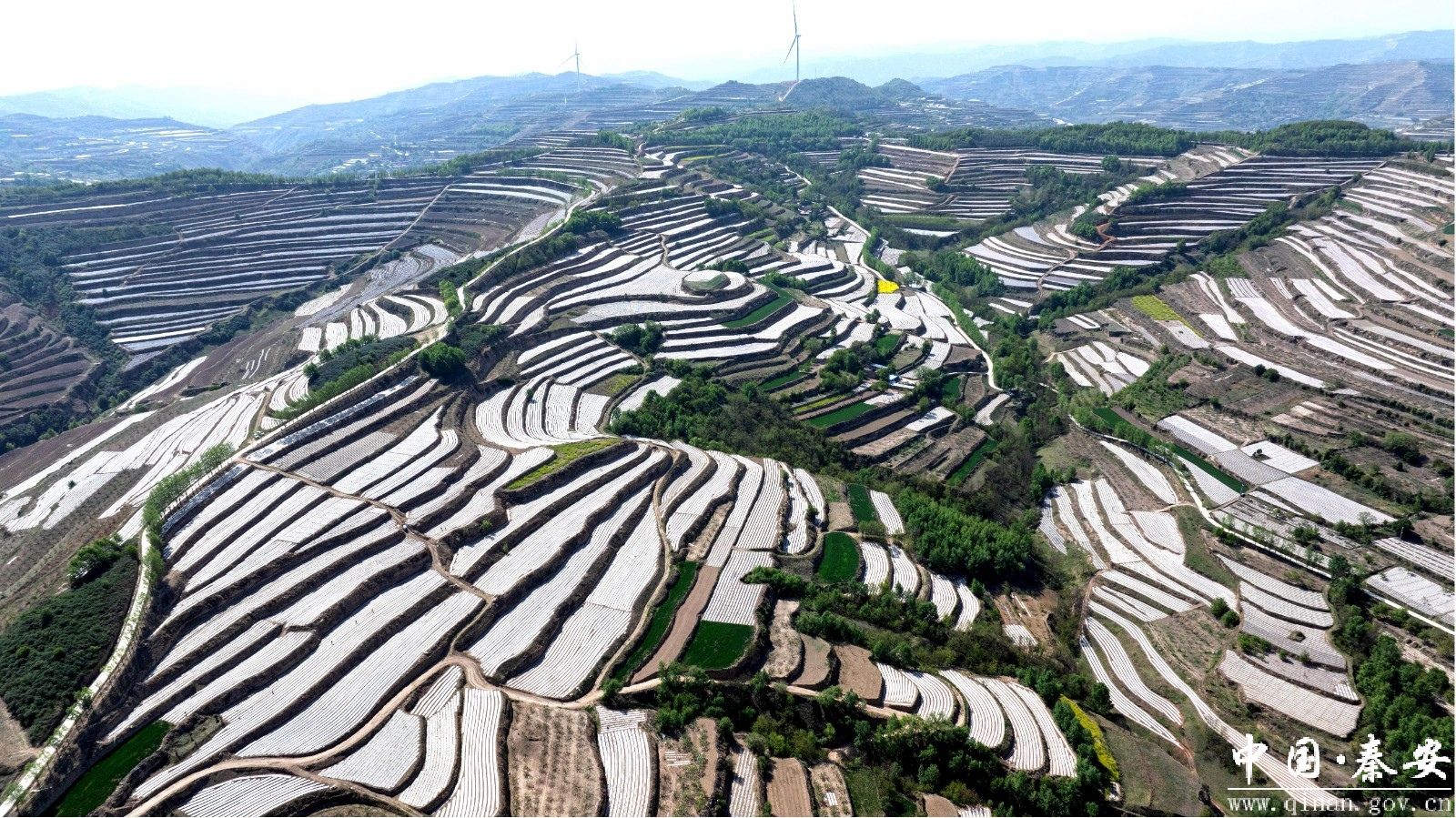 秦安：“问需、问计、问效”提升基层治理效能