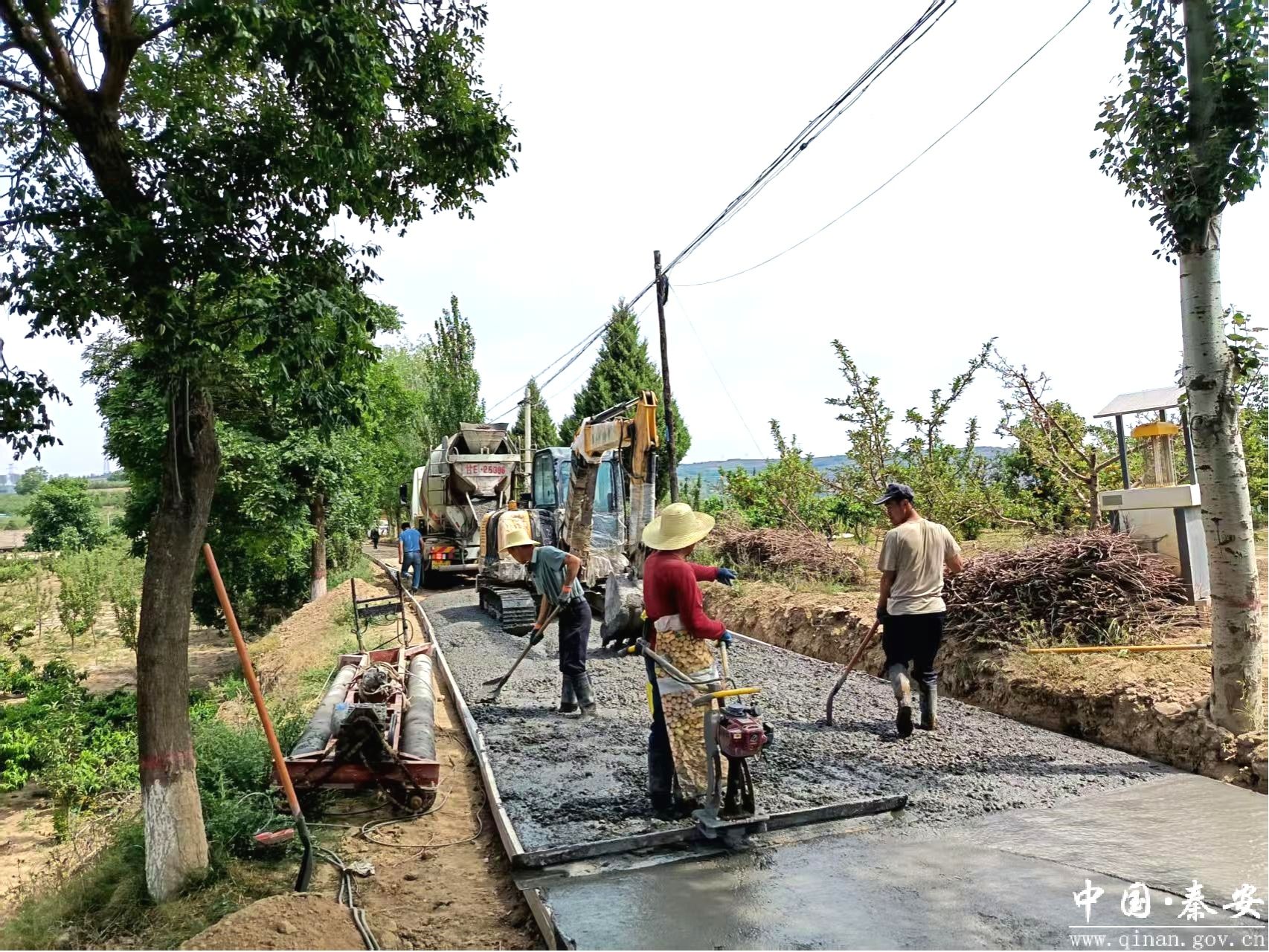 秦安：“问需、问计、问效”提升基层治理效能