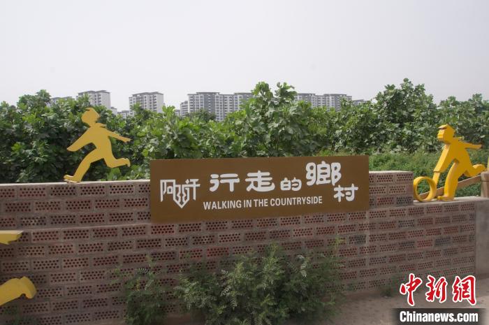 (走进中国乡村)新疆西部有条“无花果风情街”