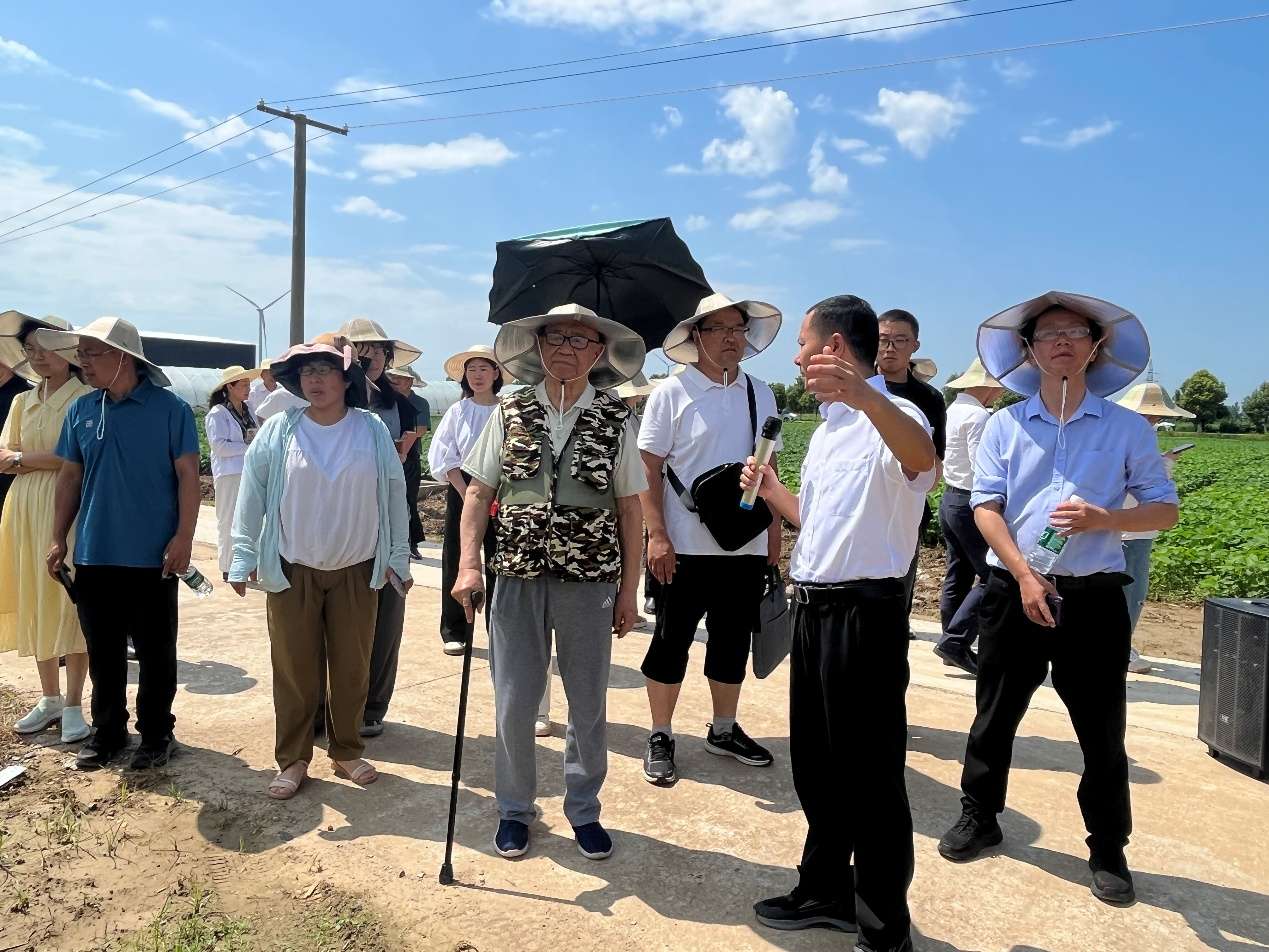 中国农科院油料所新品种新技术助力大豆增产增收