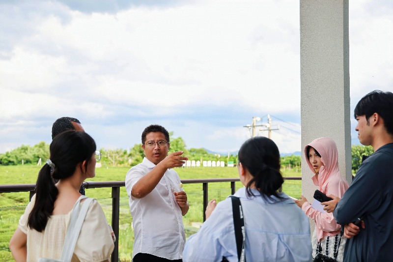 白沙：茶旅融合绘新篇 生态绿韵满黎乡