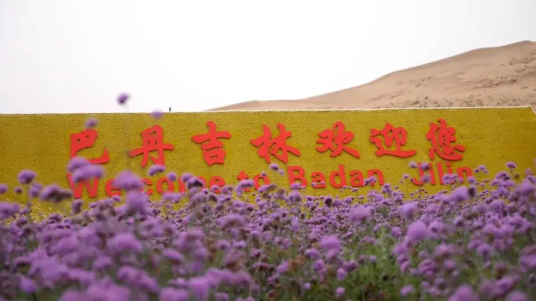 申遗成功一周年丨早知巴丹吉林美,何必千里下江南