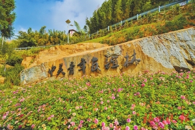 鼓岭29500平方米中美青年友谊林即将迎客