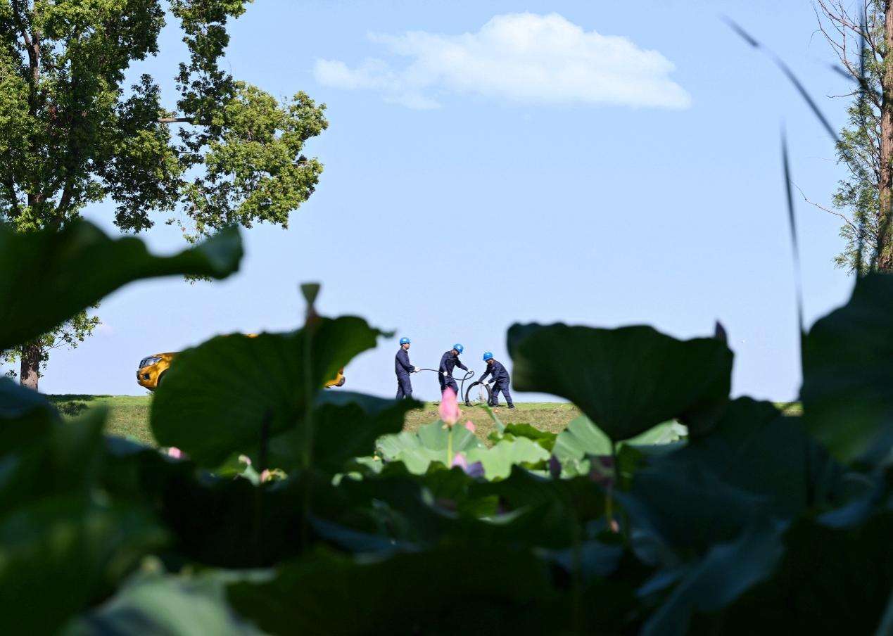 湖北汉川：保障湖区可靠供电