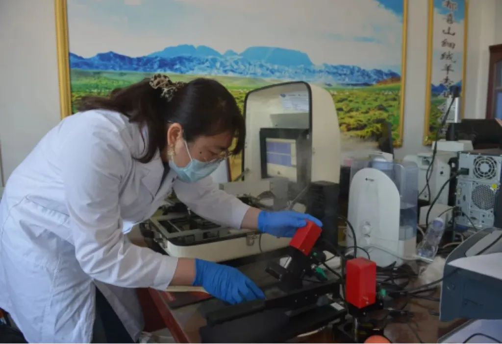 鄂托克旗:县域特色产业向新逐绿而行