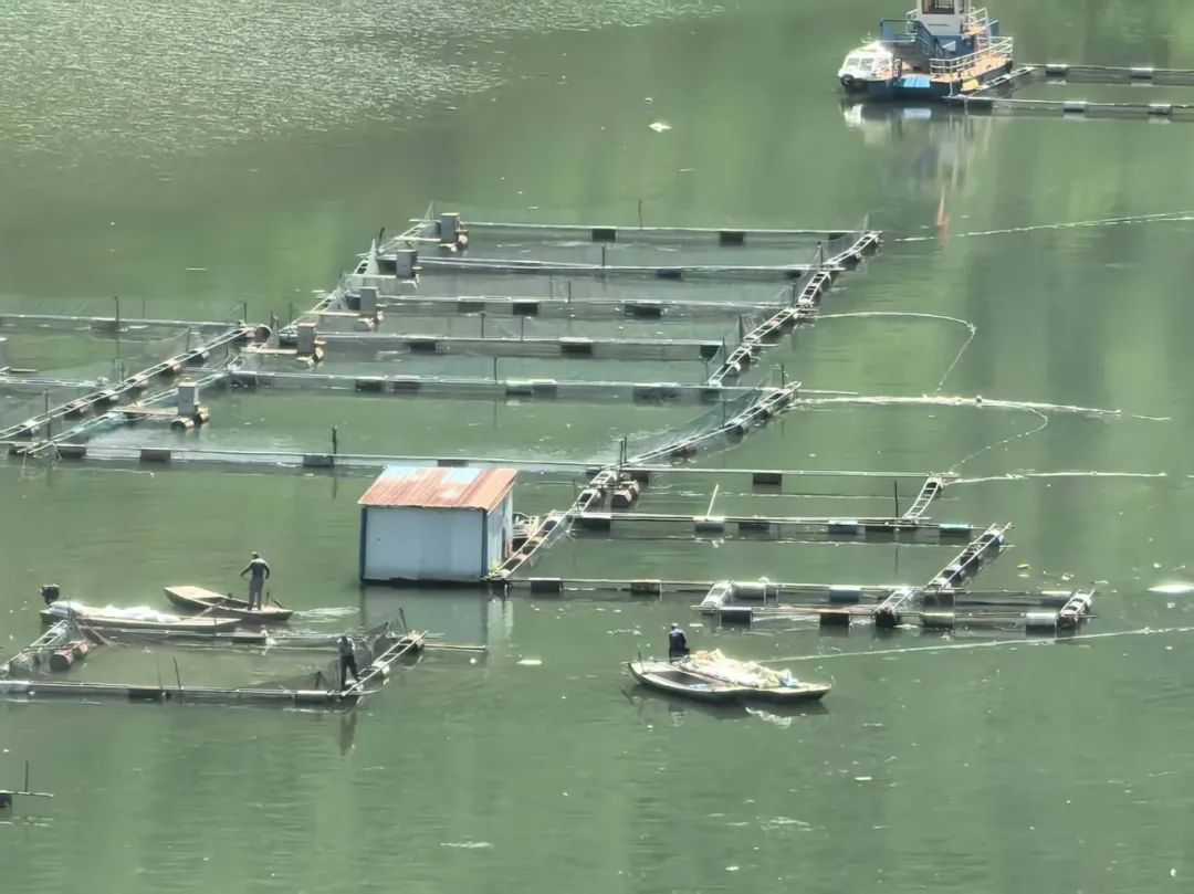 陕西日报社社委委员、副社长卢尚义:充分发挥新闻内参的参谋监督促进作用