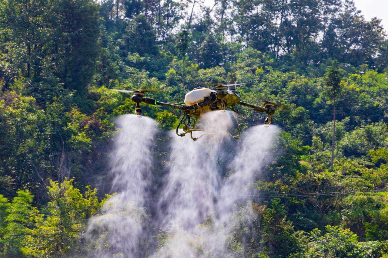 飞手“云端”织网：湖北秭归低空经济激活山地农业新动能