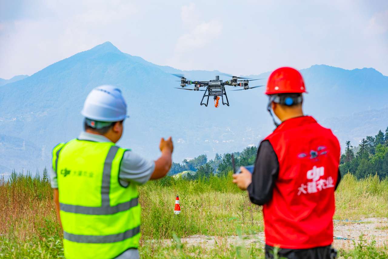 飞手“云端”织网：湖北秭归低空经济激活山地农业新动能