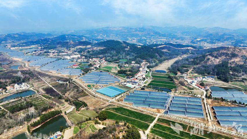 【党旗领航·大别山头雁风采】从老大难到绿富美，这个合并村靠“党建密码”逆袭