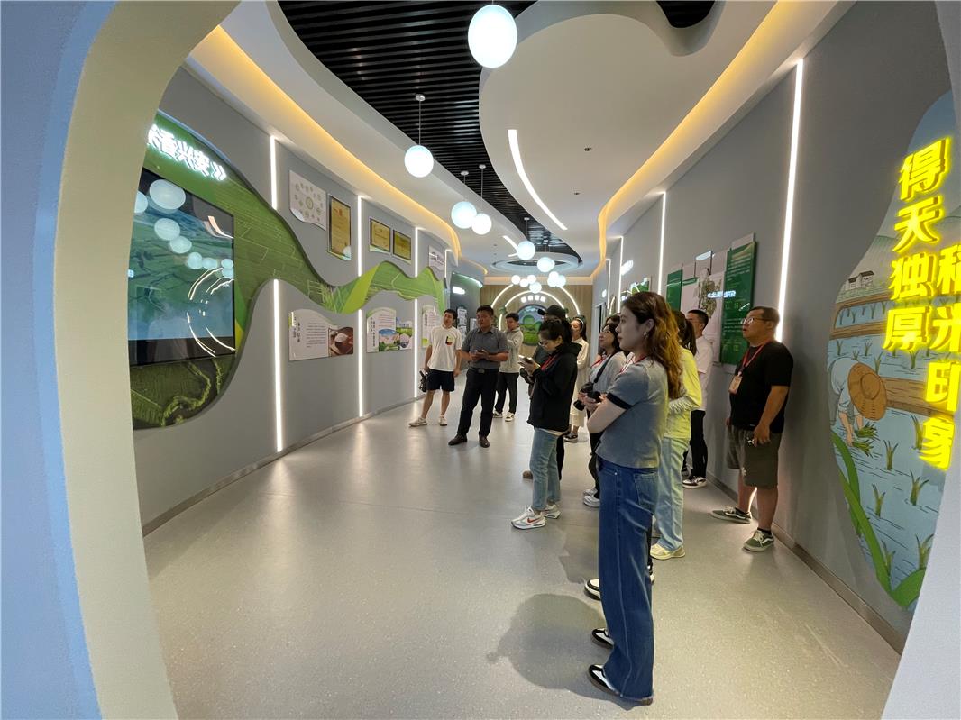 三合村,振兴有“稻”