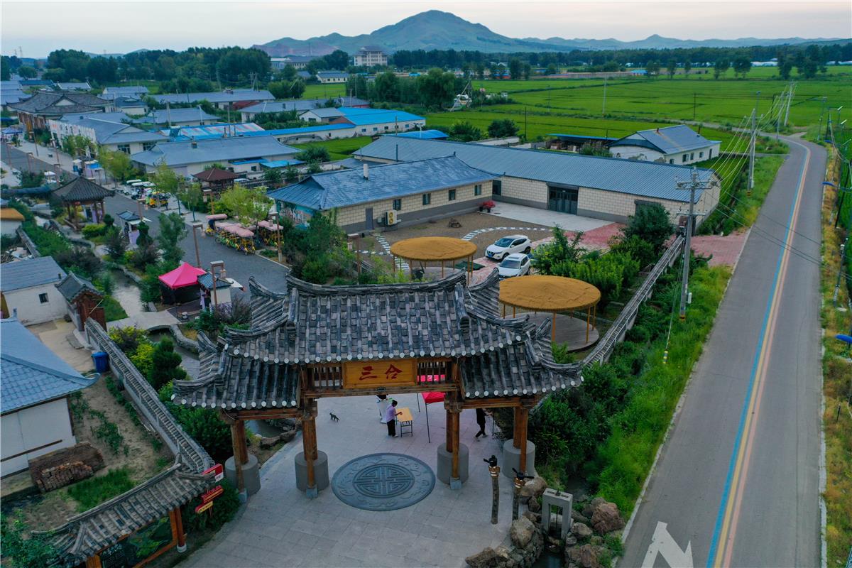 三合村,振兴有“稻”