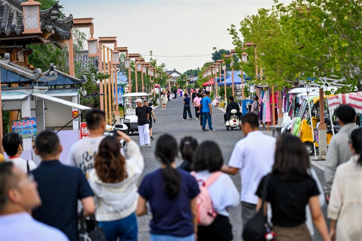 三合村,振兴有“稻”