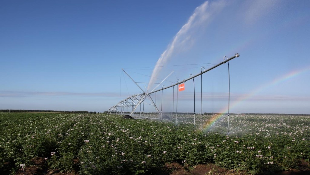 黑土地上的“绿色明珠”——黑龙江农业绿色发展典型群像观察
