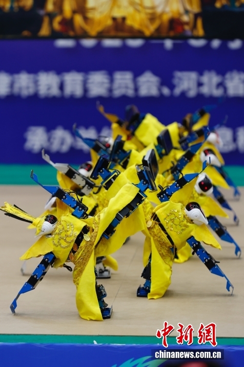 五省份高校学生同台 机器人在北京“秀舞技” 五省份高校学生同台 机器人在北京“秀舞技”