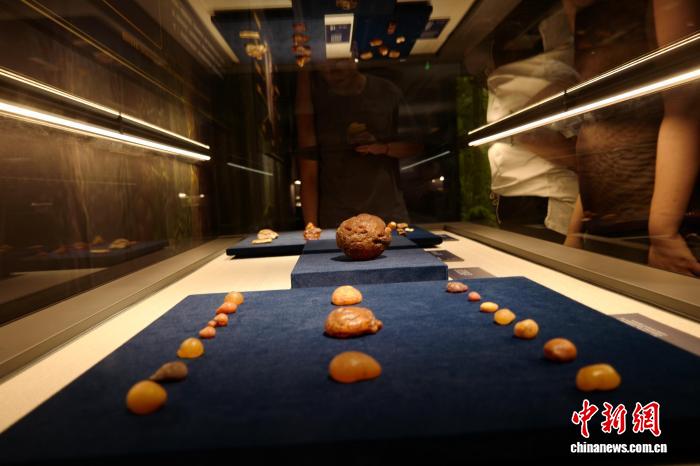 河南郑州：波兰琥珀文化艺术展吸引游人