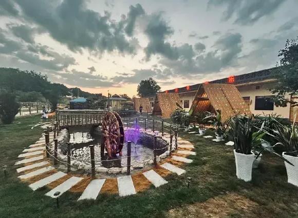 陕西黄陵：“筑巢引凤”激活乡村振兴新动能