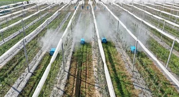 陕西黄陵：“筑巢引凤”激活乡村振兴新动能