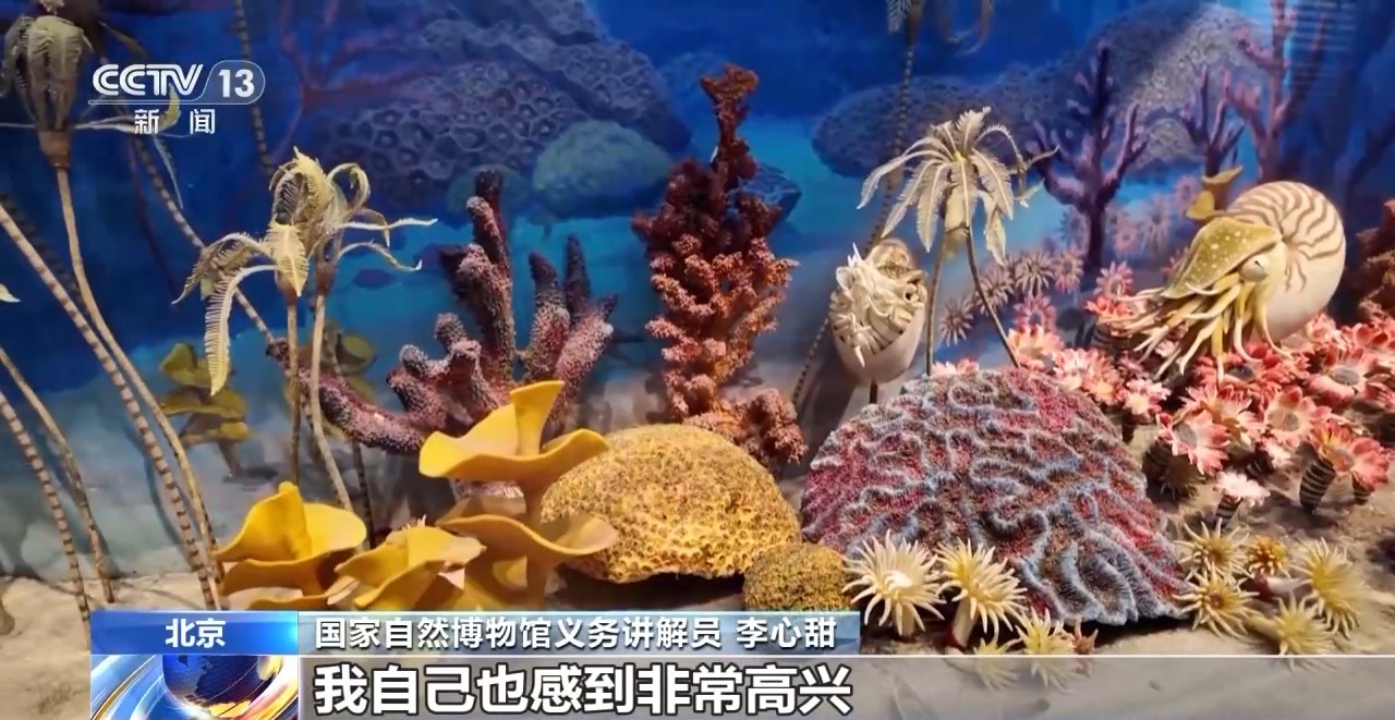 逛博物馆、探索自然……北京夏日奇妙夜 开启夜游新场景