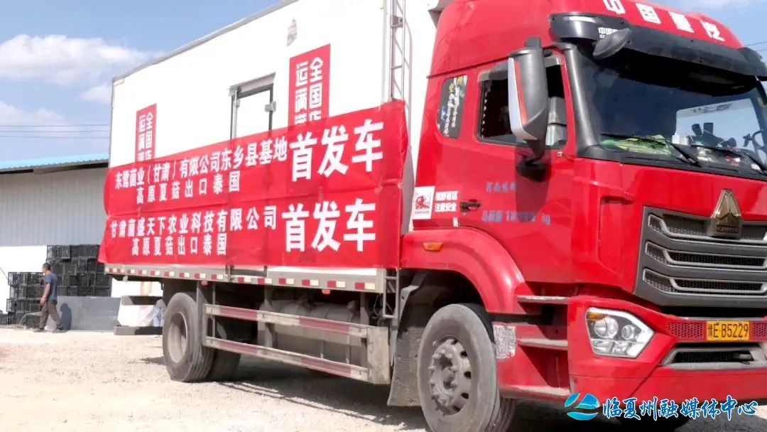 高原夏菇“叩响”国际大门