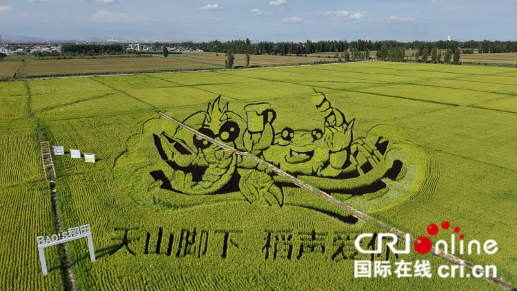 治水兴水看新疆丨稻田上绘就乡村振兴新画卷