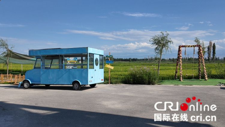 治水兴水看新疆丨稻田上绘就乡村振兴新画卷