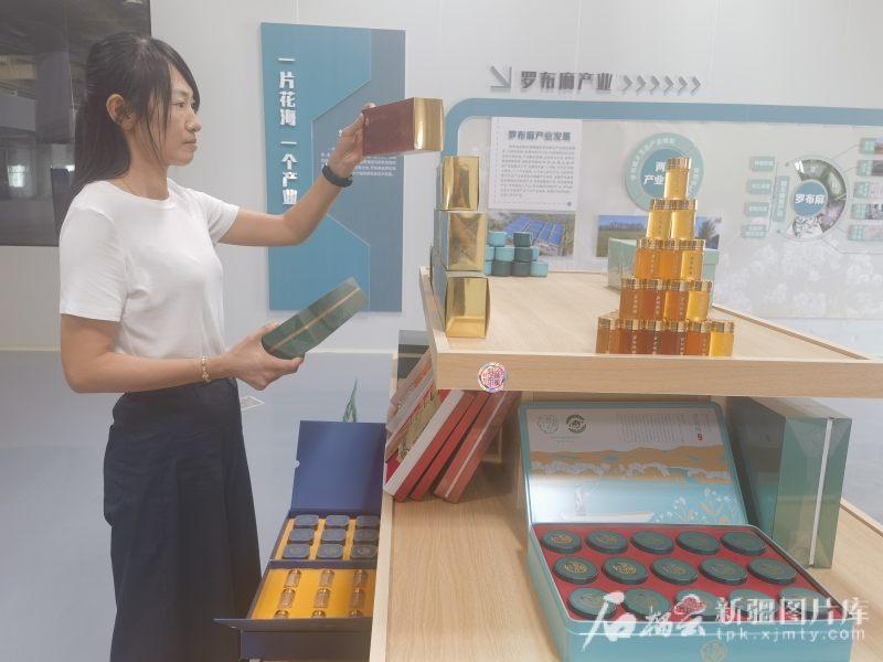 戈壁野草变身“黄金纤维”——尉犁县罗布麻“链”成富民增绿大产业