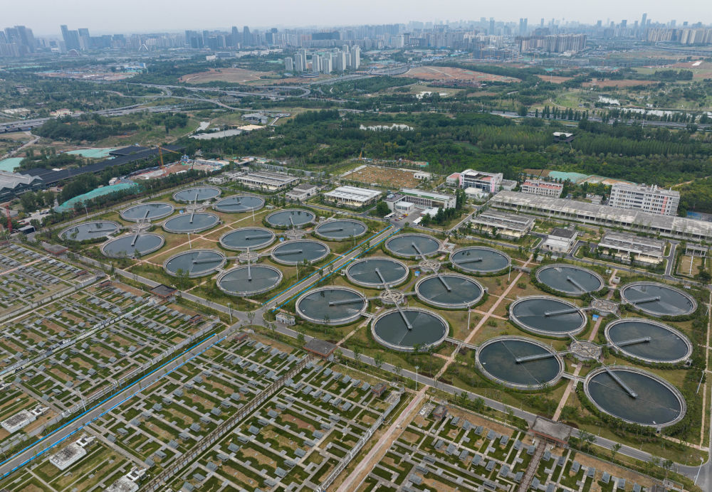 在成都|从晨曦到夜色,感受生态之城的绿色脉搏