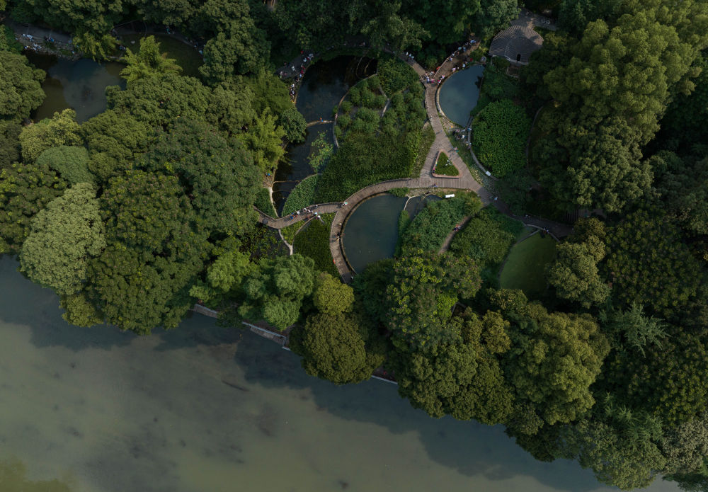 在成都|从晨曦到夜色,感受生态之城的绿色脉搏