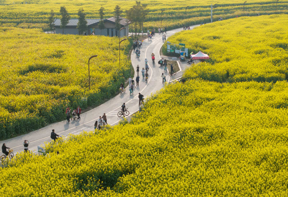在成都|从晨曦到夜色,感受生态之城的绿色脉搏