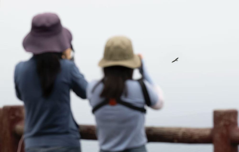 在成都|从晨曦到夜色,感受生态之城的绿色脉搏