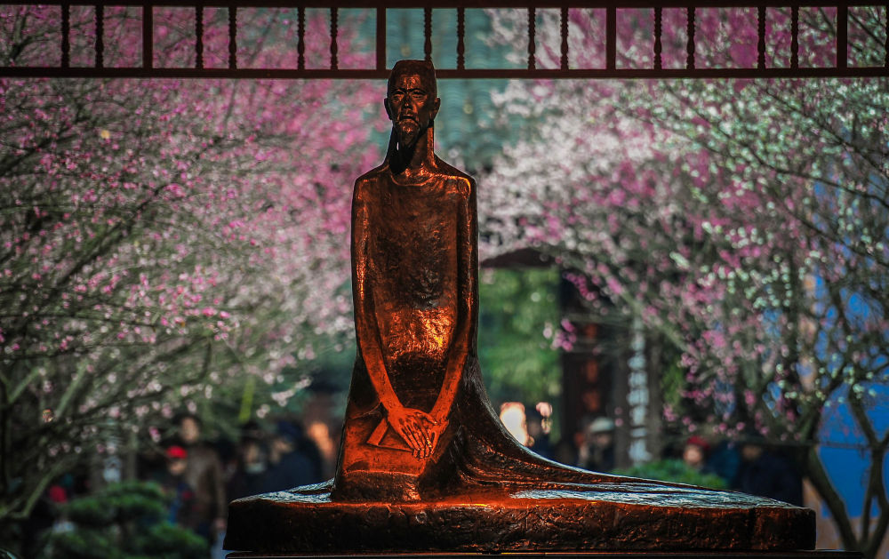 在成都|从晨曦到夜色,感受生态之城的绿色脉搏