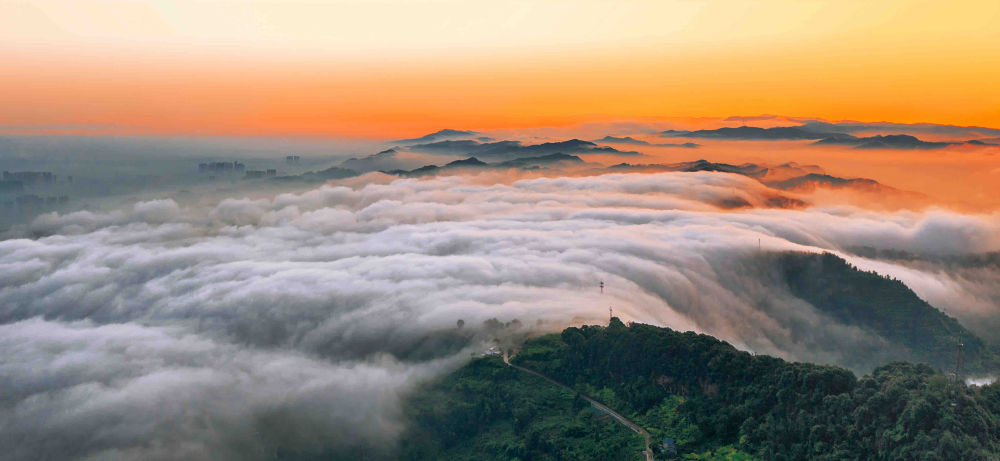 在成都|从晨曦到夜色,感受生态之城的绿色脉搏