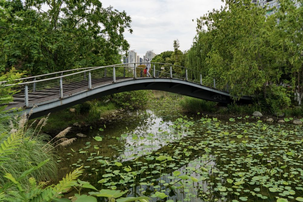 在成都|从晨曦到夜色,感受生态之城的绿色脉搏