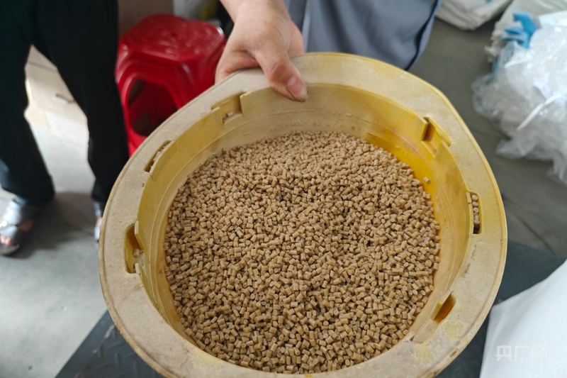 旧衣“重生”,“红色”金寨迸发“绿色奇迹”