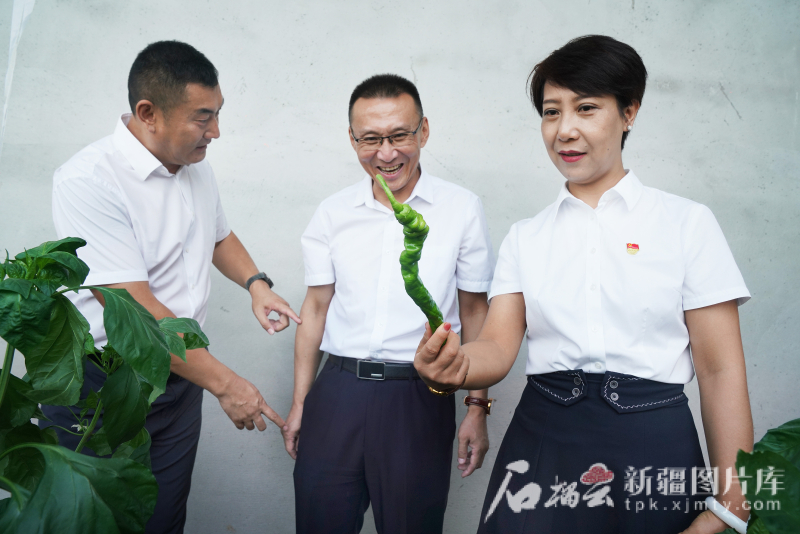 新疆首个“双碳实验室”揭牌 产学研联合攻关碳捕集农业应用