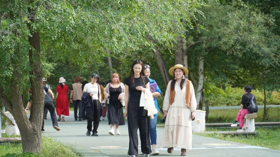 在“中国第一白桦林”，喝一杯特色下午茶，邂逅秋日诗意哈巴河