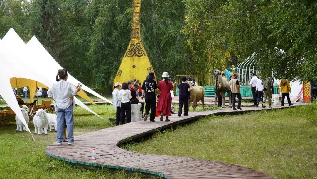 在“中国第一白桦林”，喝一杯特色下午茶，邂逅秋日诗意哈巴河