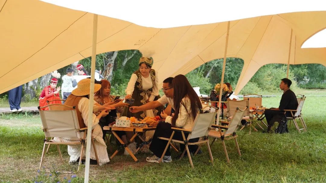 在“中国第一白桦林”，喝一杯特色下午茶，邂逅秋日诗意哈巴河