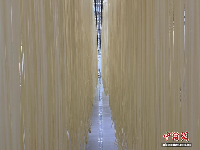 从粮仓到面坊的民乐手工面“百年滋味”何来?