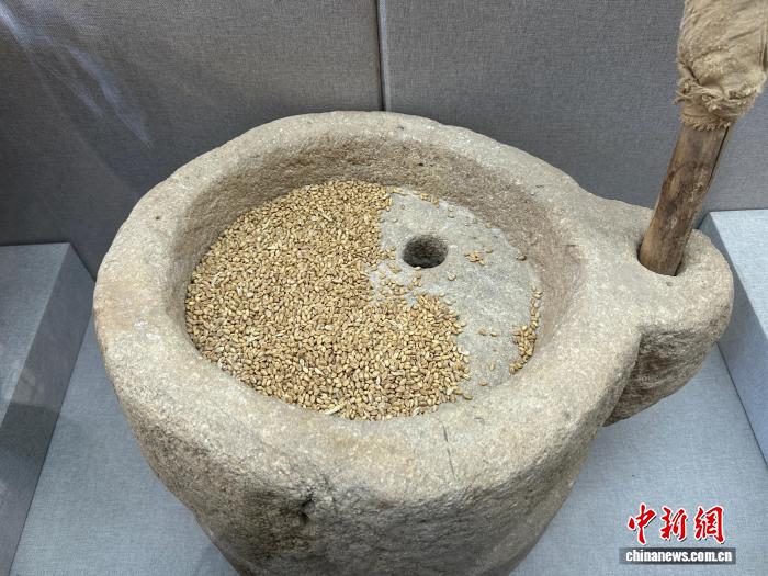 从粮仓到面坊的民乐手工面“百年滋味”何来?